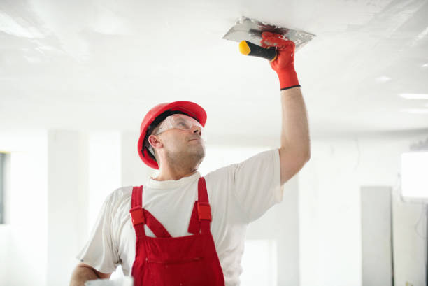 Biohazard Mold Removal in Los Osos, CA